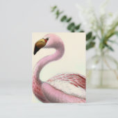 Vintage Flamingo Briefkaart (Staand voorkant)