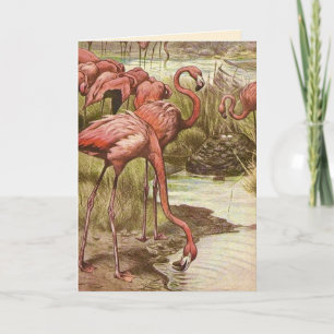 Vintage Flamingo Moederdagkaart Kaart