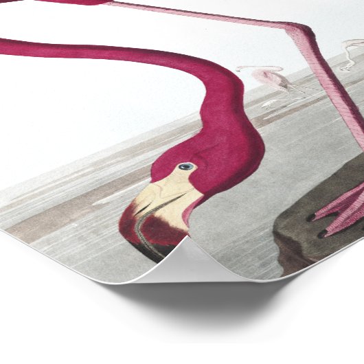 Vintage Flamingo Poster (Hoek)