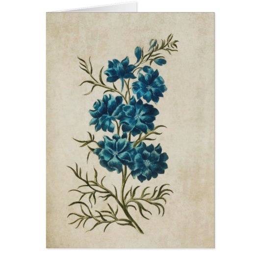 Vintage floral double larkspur (Devant)