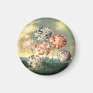 Vintage Floral Magnet Magneet
