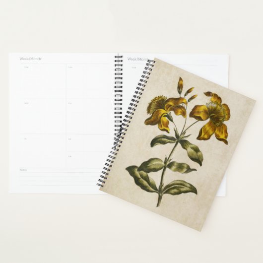 Vintage florale St. John's Wort (Devant avec enveloppe)