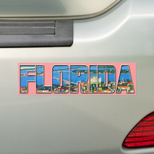 Vintage Florida Bumpersticker (Op auto)