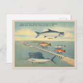 Vintage Florida Keys Vist Briefkaart (Voorkant / Achterkant)