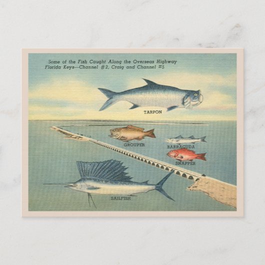 Vintage Florida Keys Vist Briefkaart (Voorkant)