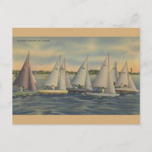 Vintage Florida Sailboat Racing Briefkaart