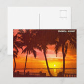 Vintage Florida Sunset Travel Briefkaart (Voorkant / Achterkant)