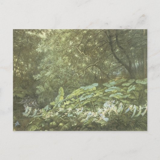 Vintage Forest Faerie Briefkaart (Voorkant)