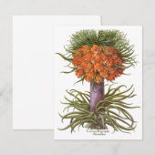 Vintage Fritillaria Flowers, Basilius Besler (Voorkant / Achterkant)