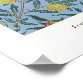 Vintage Fruit Art Print, Lime Poster (Hoek)