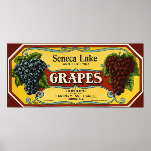 Vintage Fruit Crate Label Art, Seneca Lake Grapes Poster