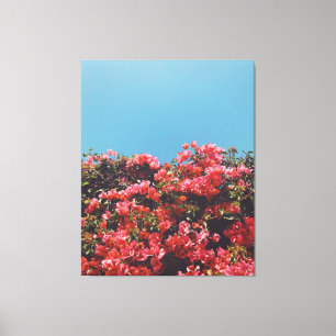 Vintage Geïnspireerde Bougainvillea Flowers Calif Canvas Afdruk