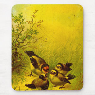 Vintage Geschilderde Mussen Muismat