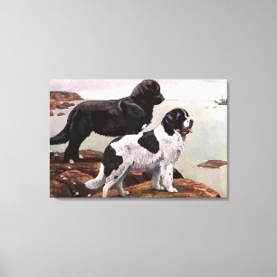 Vintage geschilderde Newfoundlands Wrapped Canvas Afdruk