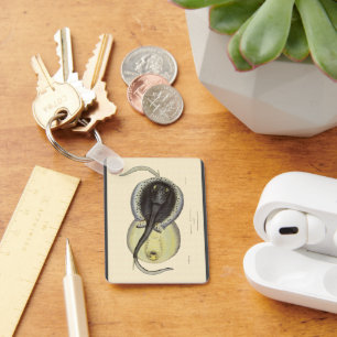 Vintage gespikkelde Stingrays, mariene oceandieren Sleutelhanger