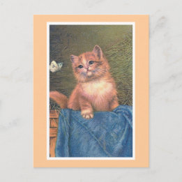 vintage "Ginger Kitten en Butterfly" Briefkaart
