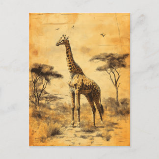 Vintage Giraffe Südafrika Savanne Postcard Briefkaart