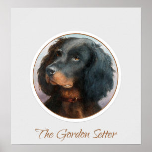 Vintage Gordon Setter Poster
