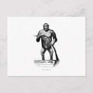 Vintage Gorilla - Sjabloon Apes en Gorillas Briefkaart