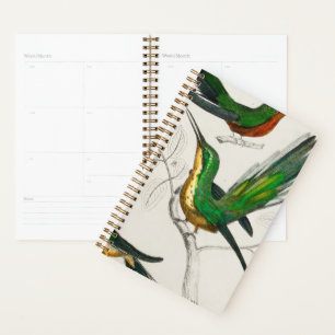 Vintage Green Bird rétro, nature, animaux,