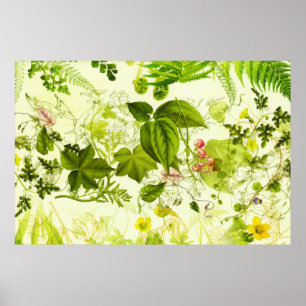 Vintage Greenery Botanische Waterverf van wilde bl Poster