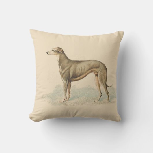 Vintage Greyhound Elegant Impression Doux Coussin (Recto)