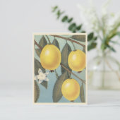 Vintage guave briefkaart (Staand voorkant)