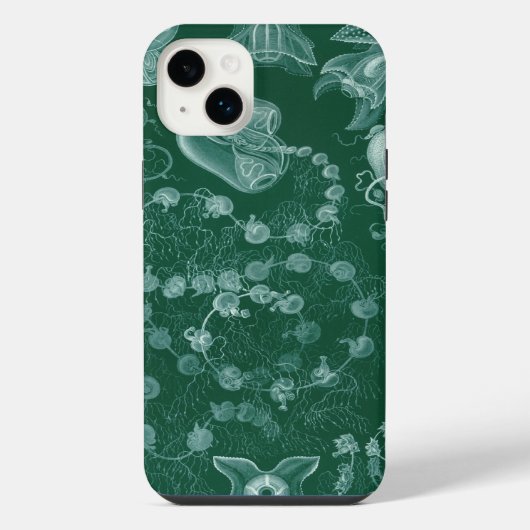 Vintage Haeckel (Verso)