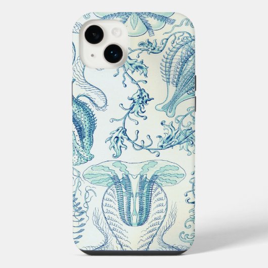Vintage Haeckel (Verso)