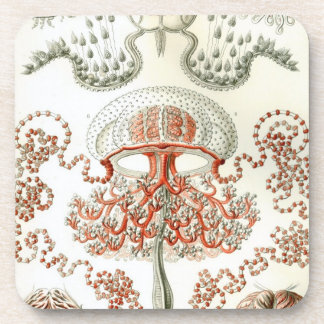 Vintage Haeckel Bier Onderzetter