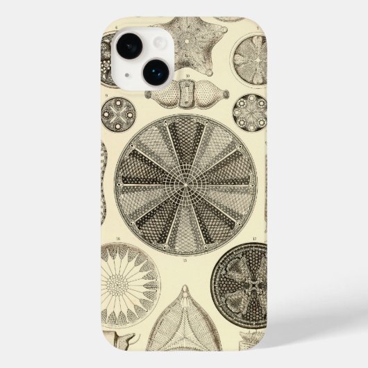 Vintage Haeckel Case-Mate iPhone Case (Achterkant)
