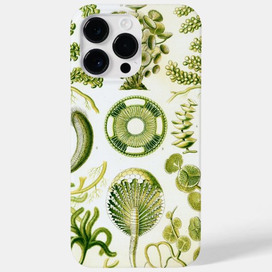 Vintage Haeckel Case-Mate iPhone Case (Achterkant)