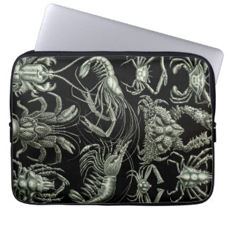 Vintage Haeckel Crustations Laptop Sleeve