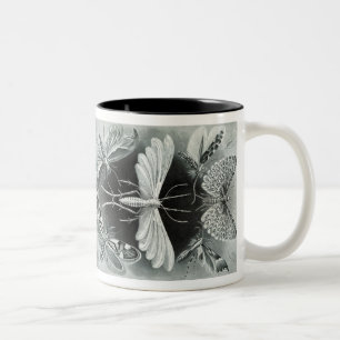 Vintage Haeckel Moth Tweekleurige Koffiemok
