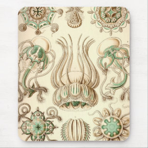 Vintage Haeckel Muismat