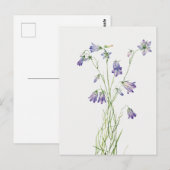 Vintage Harebell Bloed Briefkaart (Voorkant / Achterkant)