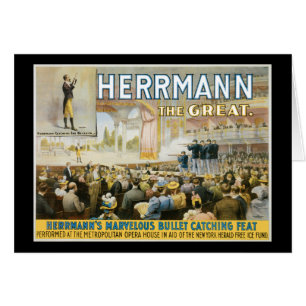 Vintage Herermann het Grote Meren Poster