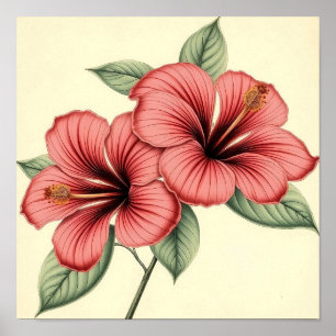 Vintage Hibiscus op Verweerd Papier Poster