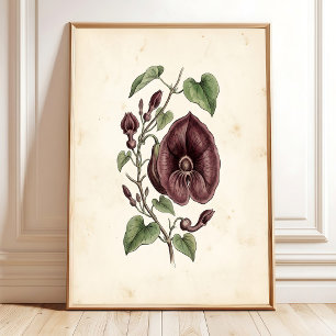 Vintage Hollandse Pijp Galerij Muur Kunstprint Poster