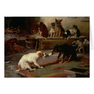 Vintage - Honden spelen een buik van de oorlog,