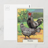 Vintage Houdan Chicken Briefkaart (Voorkant / Achterkant)