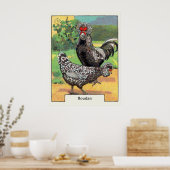 Vintage Houdan Chicken Poster (Keuken)