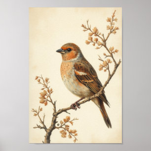 Vintage Huismus Cottagecore Vogel Muurkunst Poster