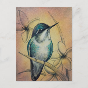 Vintage Hummingbird No. 3 Waterverf Art. Briefkaart