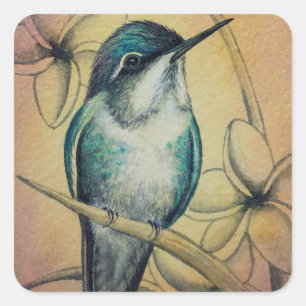 Vintage Hummingbird No. 3 Waterverf Art. Vierkante Sticker