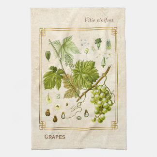 Vintage Illustratie Groene druivensap Botanisch Theedoek