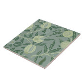 Vintage illustratie van fruit of granaatappel tegeltje (Zijkant)