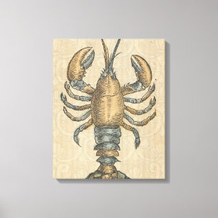 Vintage Illustratie van Kreeft: Kustdamast Canvas Afdruk