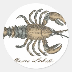 Vintage Illustratie van Kreeft: Kustdamast Ronde Sticker