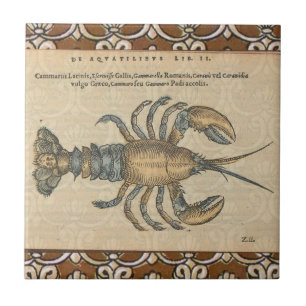 Vintage Illustratie van Kreeft: Kustdamast Tegeltje